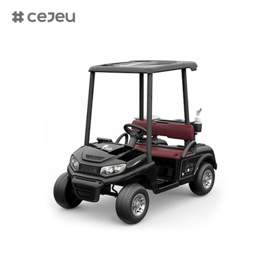 CJ-390 (genug Platz für zwei Sitze), 12V10AH*1, #550*2, 2.4G, Musik, USB, mp3, Golfwagen mit mehreren Farboptionen
