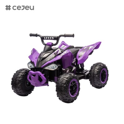 CJ-CH9960A,12V7AH*1/35W*2 Vorwärts/Rückwärts Vorderlicht Horn/Purpurrot Rot Blau Rosa Schwarz Grün,Produkt Größe 89*65.5*61.5CM