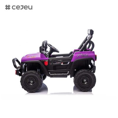 CJ-HP-018SJ 4-Rad-Antrieb UTV-Modelle gute Wahl Hinterlagerraum 2 Geschwindigkeiten verfügbar Farbenfarben lila schwarz rosa blau Kunststoff-Auto