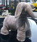 Kinder EN62115 fahren auf weichen Elefanten Toy Car Toy Cars 8KG 48 Monate