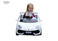 Kinder zwei fährt elektrische Fahrt 6V4AH auf Toy Car With Parallel Swing